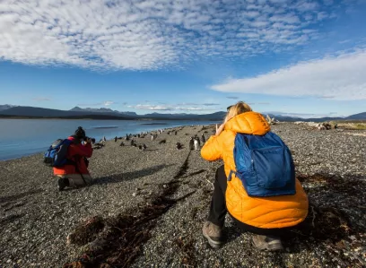 Ganztägige Exkursion in einer internationalen Gruppe zur Estancia Harberton und Pinguinkolonie Martillo-Insel. Eintritt inklusive.