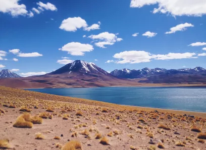 Salar do Atacama, Lagunas Altiplanas e Piedras Rojas com Almoço Inclui entradas