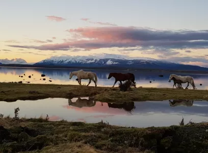 Dia de campo en la Estancia Bahia Esperanza