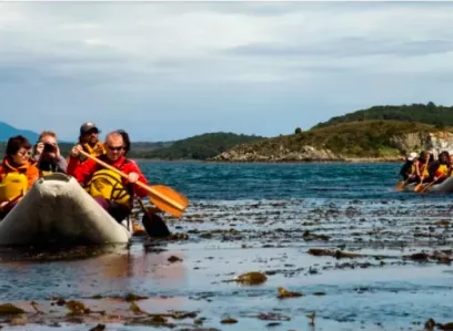 Exploring National Park Tierra del Fuego Trekking and Boats in Lapataia Bay with Lunch