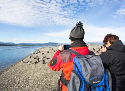 Walking with Penguins at Martillo Island