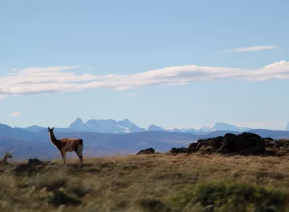 Halbtagesausflug Estancia Bahia Esperenza ab/bis Puerto Natales