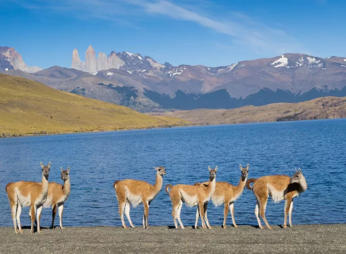 Voyage à Puerto Natales - Chili | Explora